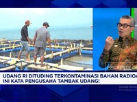 Video: Ekspor Udang RI ke AS Diganjal Isu Radioaktif, Pengusaha Cemas
