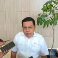 Bos Bapanas Ungkap Nasib Produksi Beras November-Januari, Ada Apa?