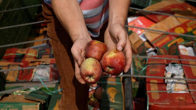 12 Buah dan Sayur Mengandung Residu Pestisida Tertinggi, Sudah Terbukti