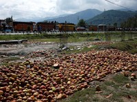 Banjir Bandang Lumpuhkan Jalan Raya, Petani Apel Merugi