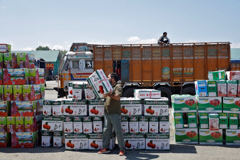 Para petani apel di Kashmir India menghadapi kerugian besar tahun ini karena banjir dan penutupan jalan raya mengganggu puncak musim panen. (REUTERS/Sharafat Ali)