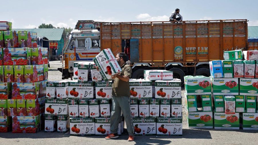 Para petani apel di Kashmir India menghadapi kerugian besar tahun ini karena banjir dan penutupan jalan raya mengganggu puncak musim panen. (REUTERS/Sharafat Ali)