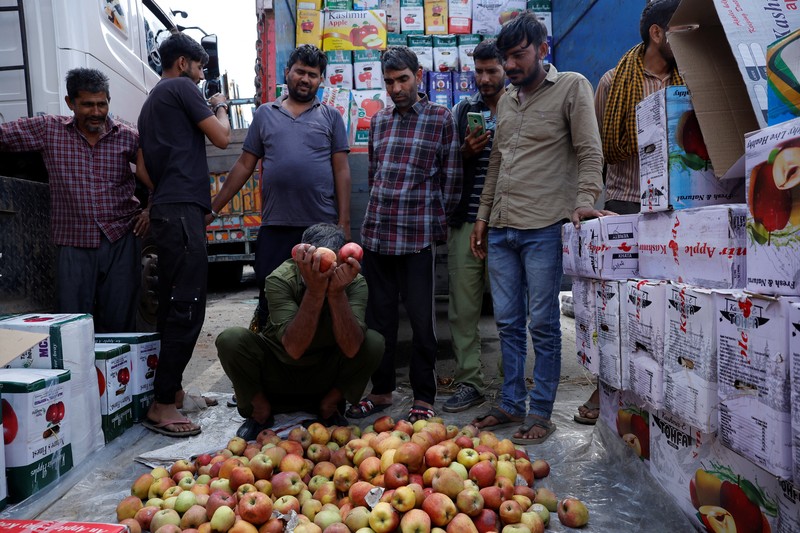 Para petani apel di Kashmir India menghadapi kerugian besar tahun ini karena banjir dan penutupan jalan raya mengganggu puncak musim panen. (REUTERS/Sharafat Ali)
