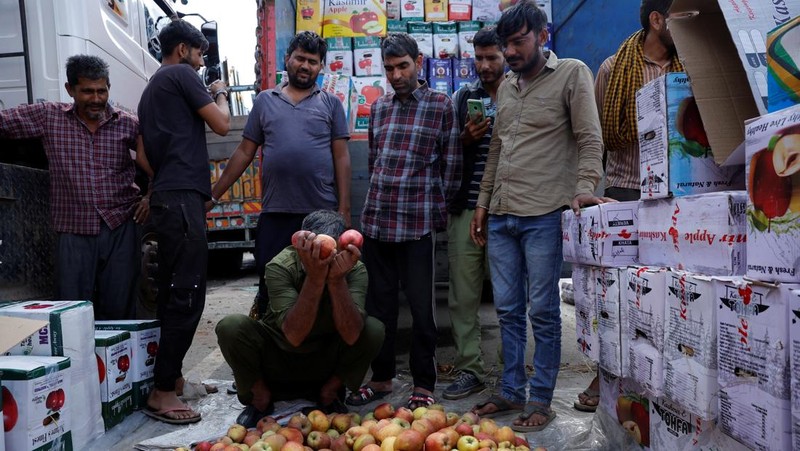 Para petani apel di Kashmir India menghadapi kerugian besar tahun ini karena banjir dan penutupan jalan raya mengganggu puncak musim panen. (REUTERS/Sharafat Ali)