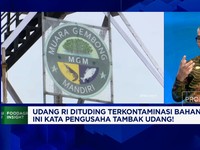 Video: Udang RI Dituduh Mengandung Bahan Radioaktif, Pengusaha Bantah!