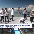 Video: Wapres Gibran Panen Lobster di Batam, Minta Ditiru Daerah Lain
