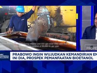 Video: Demi Swasembada Energi Prabowo, Pengusaha Bioetanol Minta 2 Hal