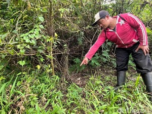Perasaan Campur Aduk Sulis setelah Temukan Potongan Jasad Korban Mutilasi