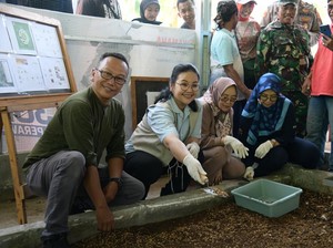 Panen Perdana, Walkot Semarang Apresiasi Budidaya Maggot di Jabungan