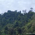 Tambang Ilegal Ditertibkan, Ratusan Hektare Lahan Kembali ke Negara