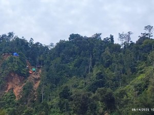 Perusahaan Tambang Milik Ketua Kadin Sultra Sempat Ditutup Satgas PKH