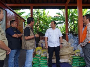 Kemendagri Bantu Korban Banjir Denpasar, Salurkan Beras-Tenda Posko