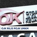 Video: Genjot Ekonomi, OJK Rilis POJK UMKM