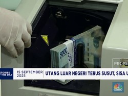 Video: Pemerintah Luncurkan Stimulus Ekonomi-Trump Batal Blokir Tiktok