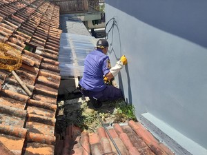 Anak Kucing Terjebak di Pipa, Panik Entin Berakhir Senyum