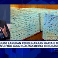 Video: Jurus Bulog Jaga Mutu Beras Dari Ancaman Kutu & Kerusakan