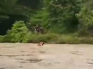 Video Pengakuan Ibu di Polman yang Terobos Sungai Meluap Demi Anak di Rumah