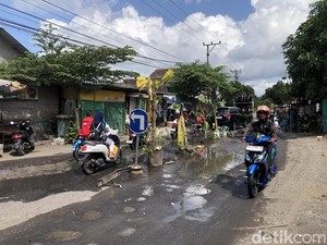 Protes Jalan Rusak, Warga di Lombok Barat Tanam Pohon Pisang