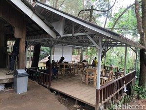Jajan Terjangkau di Tengah Hutan Pinus Kuningan