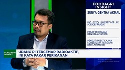 Video: Urgensi RI Bentuk Satgas Kasus Udang Tercemar Radioaktif