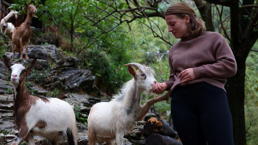 A drone view shows a boat carrying tourists near the stone house of Marjana Koceku, 24, a newly elected MP, transformed into an agritourism guesthouse in a remote area at Koman lake near Shkodra, Albania, August 31, 2025. REUTERS/Florion Goga