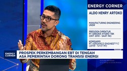 Video: Investasi PLTA Tembus USD 2 Juta/MW, Bisnis EBT Masih Prospek?