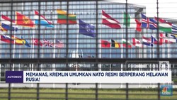 Video: Panas! Kremlin Umumkan NATO Resmi Perang Lawan Rusia!