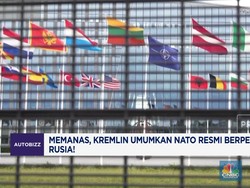 Video: Panas! Kremlin Umumkan NATO Resmi Perang Lawan Rusia!