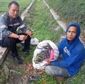 Kabel Kereta Cepat Whoosh Dimaling, Pencuri Tertangkap Basah Bawa Ini