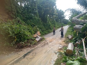 3 Kabupaten di Bengkulu Diterjang Banjir-Longsor