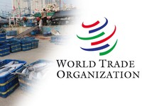 Resmi Berlaku, WTO Sepakat Larang Subsidi IUU Fishing-Overfishing
