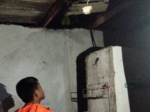 Pohon Tumbang Timpa Rumah Warga di Bogor, Penghuni Mengungsi