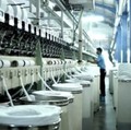 Harga Saham Rp 1, Emiten SBAT Nyatakan Resmi Bangkrut