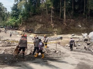 Aksi 4 Anjing Pelacak Polri Cari Korban Banjir Nagekeo Jadi Tontonan Warga