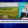 Video: Dari Lab ke Ladang, Cara Bioteknologi Menjaga Ketahanan Pangan