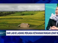 Video: Dari Lab ke Ladang, Cara Bioteknologi Menjaga Ketahanan Pangan