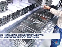 Video: Polemik Minyak Babi di Food Tray MBG, Bos BGN Ditelepon Prabowo