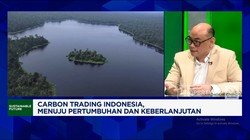 Video: Jurus PUM Gali Prospek Kredit RI Lewat Reforestasi & Konservasi