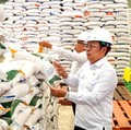 RI Bisa Surplus Beras 5,2 Juta Ton, Kenapa Bos Bapanas Minta Waspada?