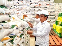RI Bisa Surplus Beras 5,2 Juta Ton, Kenapa Bos Bapanas Minta Waspada?
