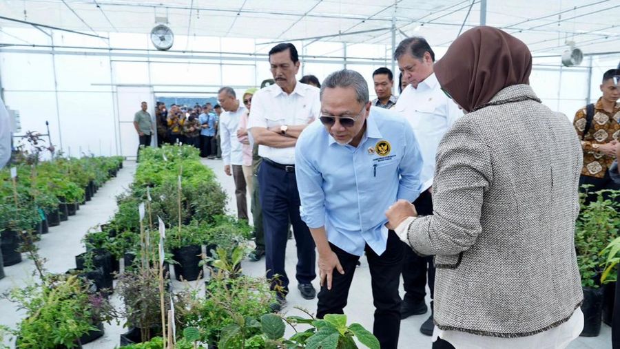 Menteri Koordinator Bidang Pangan, Zulkifli Hasan,