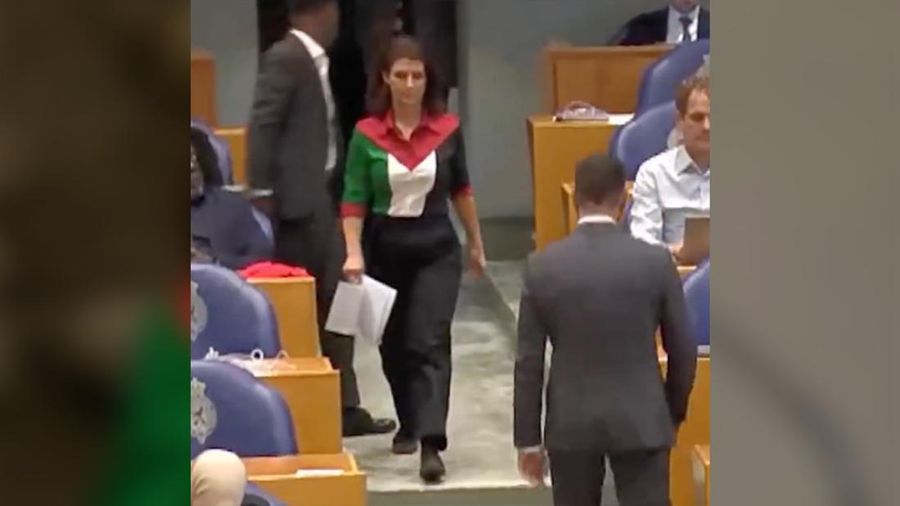 Anggota parlemen Belanda Esther Ouwehand mengenakan warna bendera Palestina selama debat parlemen. (Instagram/estherouwehandpvdd)