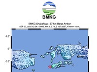 Usai Diguncang Gempa Dangkal M6,5, Lebih 80 Kali Gempa Hantam Nabire