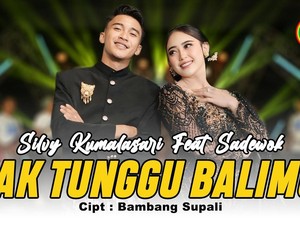 Lirik Lagu Tak Tunggu Balimu Silvy Kumalasari feat Sadewok, Trending YouTube!