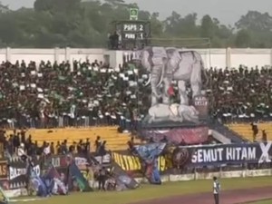 Kampanye Tesso Nilo di Lapangan Hijau, Suporter Bola di Riau Kenang Gajah Tari