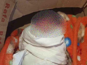 Geger, Warga Temukan Mayat Bayi dalam Kardus di Lombok Barat