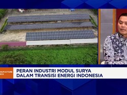 Video: Banjir Impor Panel Surya China, Industri Dorong Kolaborasi