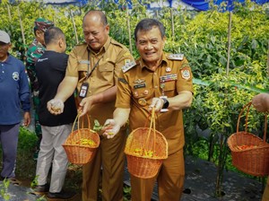 Jurus Pemprov Jateng Bantu Petani Antisipasi Cabai Langka