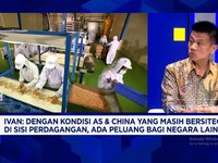 Video: Tegang Dagang AS-China Bikin Untung Produsen Olahan Kacang RI