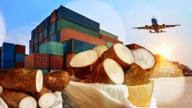 Impor Singkong dan Tapioka RI Bikin Kaget, Melonjak 800%